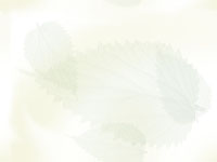 Hintergrund für Natur.jpg